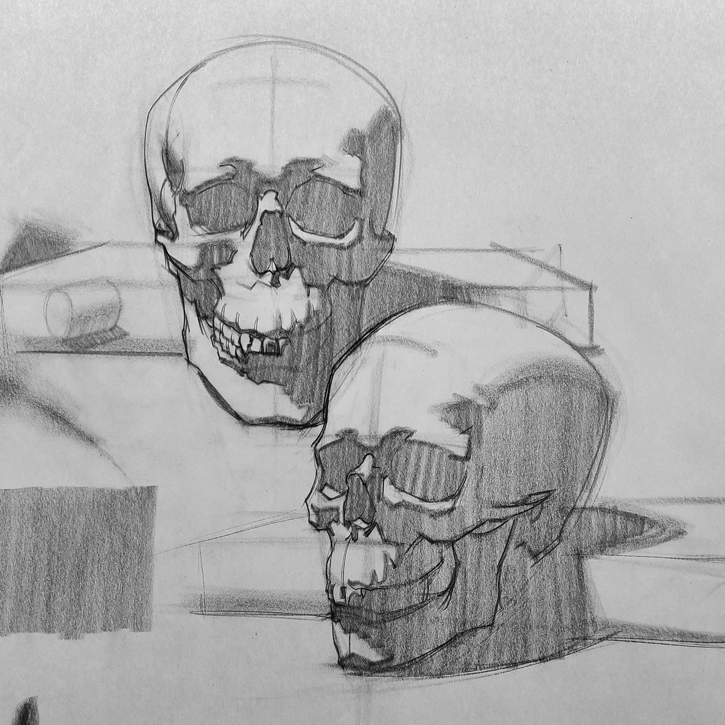 Head Fundamentals: Skull